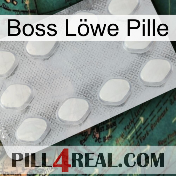Boss Löwe Pille 16.jpg